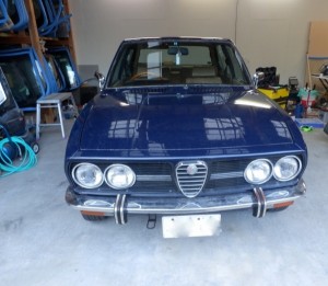alfetta-crop